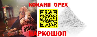 крисы Новокубанск