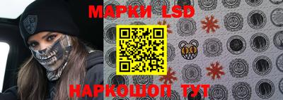 крисы Новокубанск