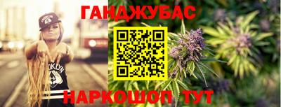 крисы Новокубанск