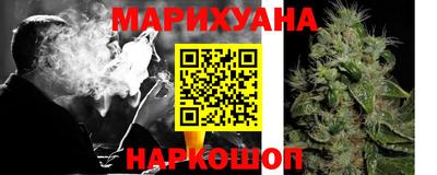 крисы Новокубанск