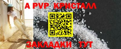 СК Обь