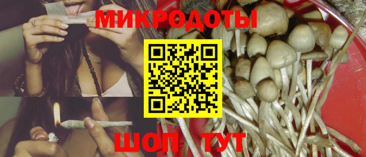 Усолье-Сибирское  Псилоцибиновые грибы Psilocybine cubensis  Вход с VPN 